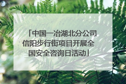 中国一冶湖北分公司信阳步行街项目开展全国安全咨询日活动