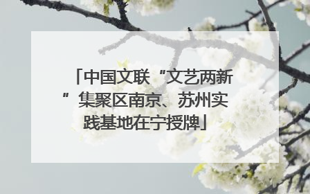 中国文联“文艺两新”集聚区南京、苏州实践基地在宁授牌