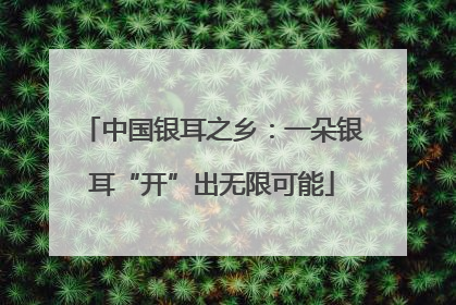 中国银耳之乡：一朵银耳“开”出无限可能