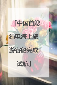 中国首艘纯电海上旅游客船完成试航