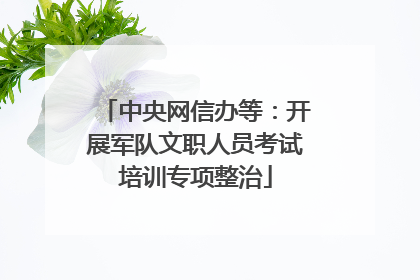 中央网信办等：开展军队文职人员考试培训专项整治