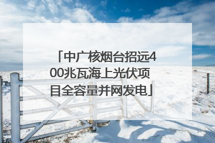 中广核烟台招远400兆瓦海上光伏项目全容量并网发电