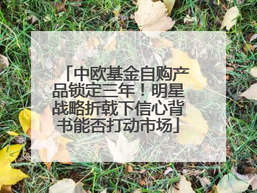 中欧基金自购产品锁定三年！明星战略折戟下信心背书能否打动市场