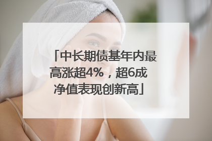 中长期债基年内最高涨超4%，超6成净值表现创新高