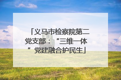 义马市检察院第二党支部：“三维一体”党建融合护民生