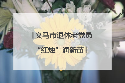 义马市退休老党员“红烛”润新苗