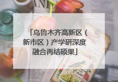 乌鲁木齐高新区（新市区）产学研深度融合再结硕果