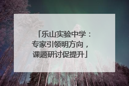 乐山实验中学：专家引领明方向，课题研讨促提升