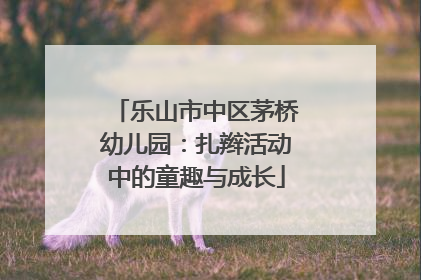 乐山市中区茅桥幼儿园：扎辫活动中的童趣与成长