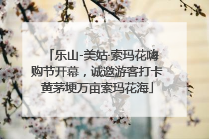 乐山-美姑·索玛花嗨购节开幕，诚邀游客打卡黄茅埂万亩索玛花海