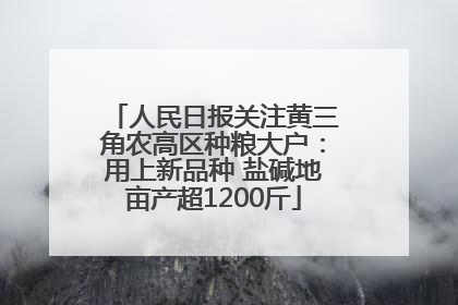 人民日报关注黄三角农高区种粮大户：用上新品种 盐碱地亩产超1200斤
