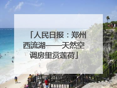 人民日报：郑州西流湖——天然空调房里赏莲荷