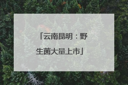云南昆明：野生菌大量上市