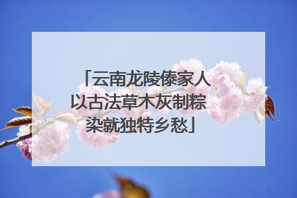 云南龙陵傣家人以古法草木灰制粽 染就独特乡愁