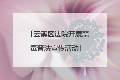 云溪区法院开展禁毒普法宣传活动
