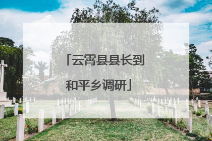 云霄县县长到和平乡调研