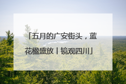 五月的广安街头，蓝花楹盛放丨镜观四川