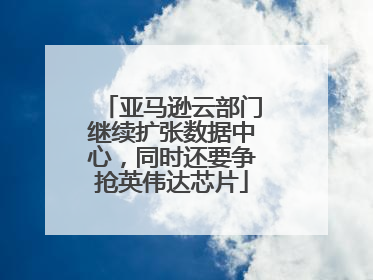 亚马逊云部门继续扩张数据中心，同时还要争抢英伟达芯片