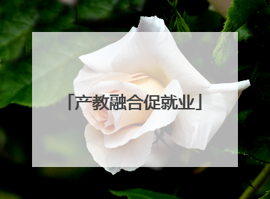 产教融合促就业