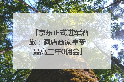 京东正式进军酒旅：酒店商家享受最高三年0佣金