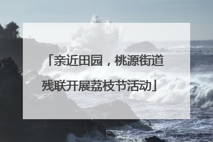 亲近田园，桃源街道残联开展荔枝节活动