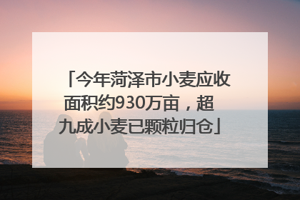 今年菏泽市小麦应收面积约930万亩，超九成小麦已颗粒归仓