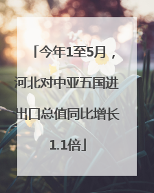 今年1至5月，河北对中亚五国进出口总值同比增长1.1倍