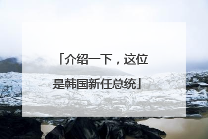 介绍一下，这位是韩国新任总统