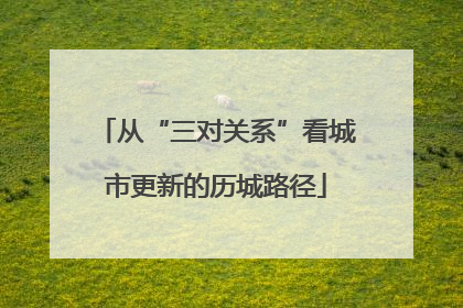 从“三对关系”看城市更新的历城路径