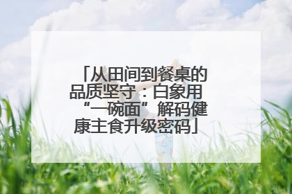 从田间到餐桌的品质坚守：白象用“一碗面”解码健康主食升级密码