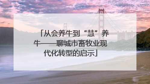 从会养牛到“慧”养牛——聊城市畜牧业现代化转型的启示