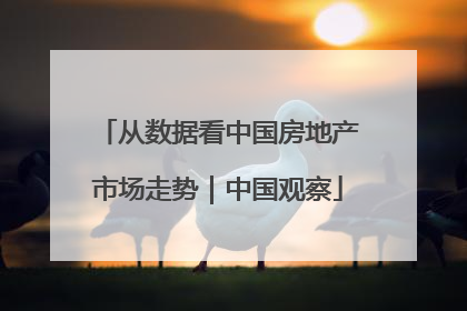 从数据看中国房地产市场走势｜中国观察