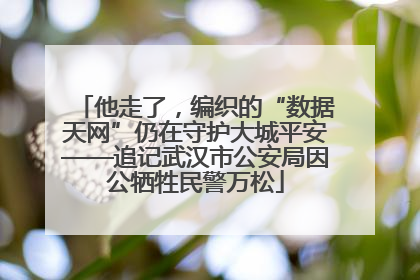 他走了，编织的“数据天网”仍在守护大城平安——追记武汉市公安局因公牺牲民警万松
