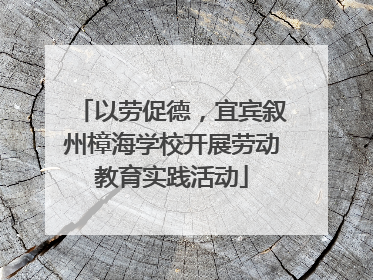 以劳促德，宜宾叙州樟海学校开展劳动教育实践活动