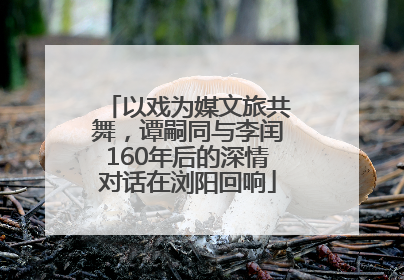 以戏为媒文旅共舞，谭嗣同与李闰160年后的深情对话在浏阳回响