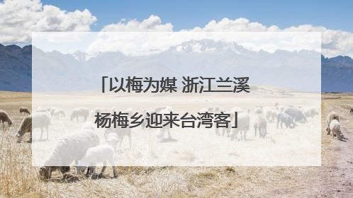 以梅为媒 浙江兰溪杨梅乡迎来台湾客