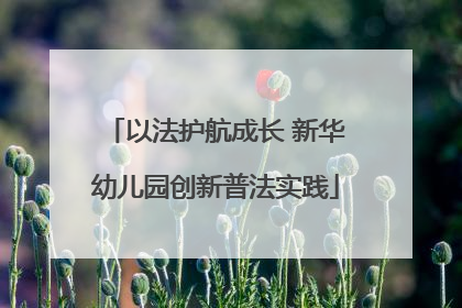 以法护航成长 新华幼儿园创新普法实践