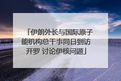 伊朗外长与国际原子能机构总干事同日到访开罗 讨论伊核问题