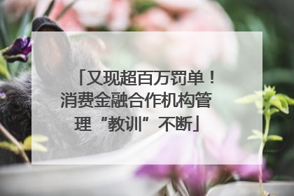 又现超百万罚单！消费金融合作机构管理“教训”不断