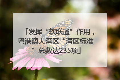 发挥“软联通”作用，粤港澳大湾区“湾区标准”总数达235项
