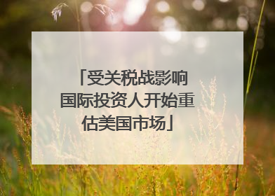 受关税战影响 国际投资人开始重估美国市场