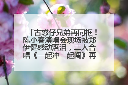古惑仔兄弟再同框！陈小春演唱会现场被郑伊健感动落泪，二人合唱《一起冲一起闯》再现青春回忆