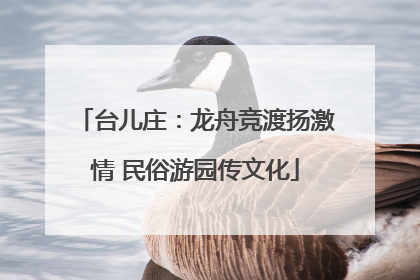 台儿庄：龙舟竞渡扬激情 民俗游园传文化
