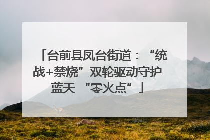 台前县凤台街道：“统战+禁烧”双轮驱动守护蓝天 “零火点”