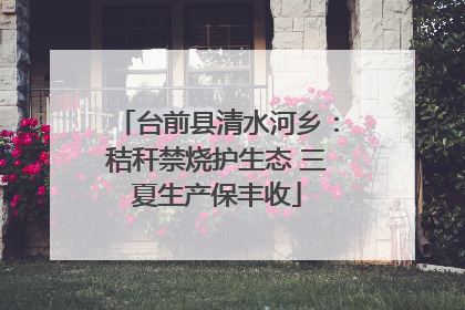 台前县清水河乡：秸秆禁烧护生态 三夏生产保丰收