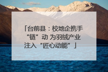 台前县：校地企携手“链”动 为羽绒产业注入“匠心动能”