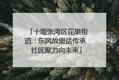 十堰张湾区花果街道：东风故里话传承 社区聚力向未来