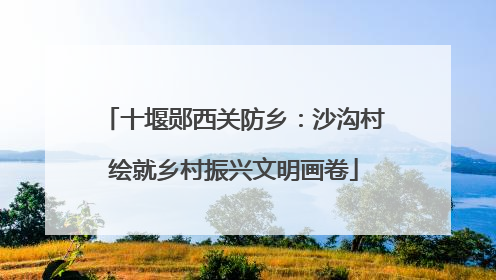 十堰郧西关防乡：沙沟村绘就乡村振兴文明画卷