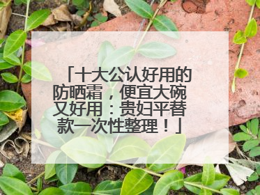 十大公认好用的防晒霜，便宜大碗又好用：贵妇平替款一次性整理！