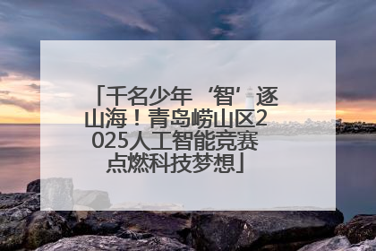 千名少年‘智’逐山海！青岛崂山区2025人工智能竞赛点燃科技梦想
